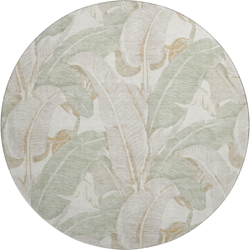 Aloha AH11 Ivory Rug