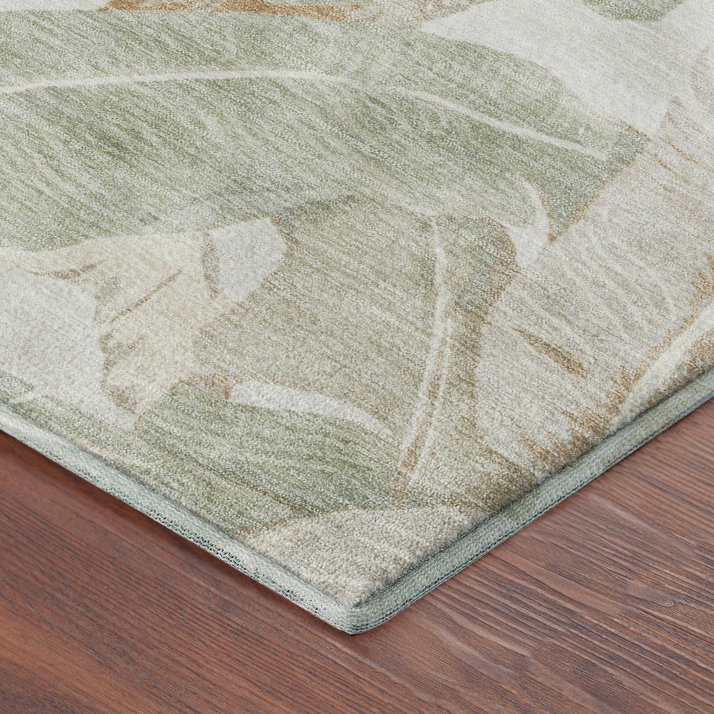 Aloha AH11 Ivory Rug