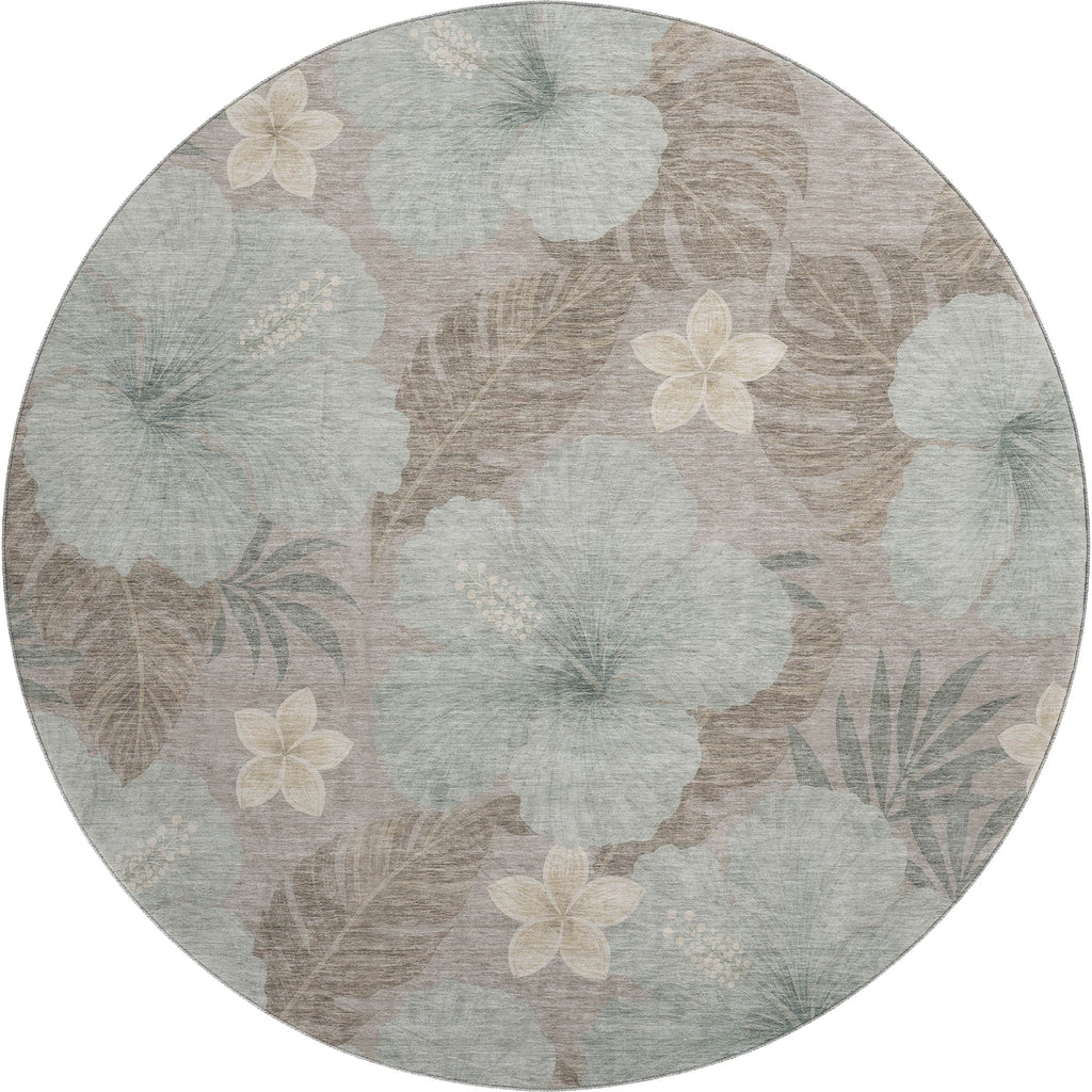 Aloha AH12 Taupe Rug