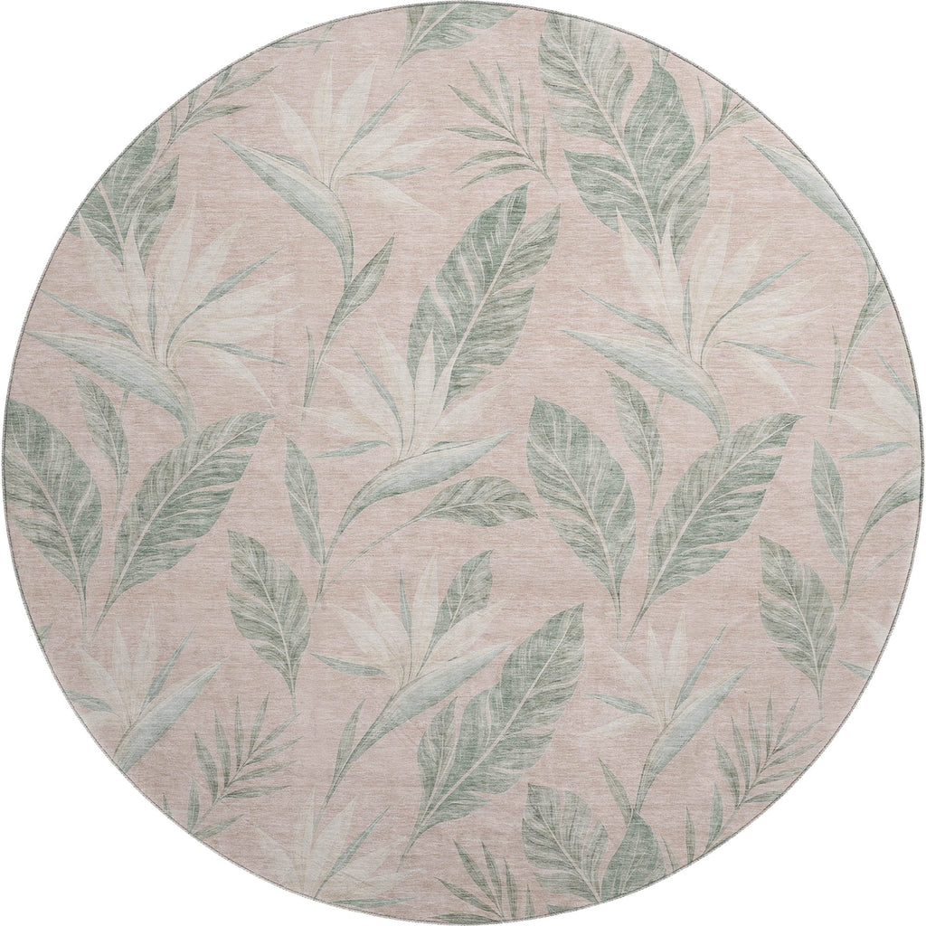 Aloha AH3 Blush Rug