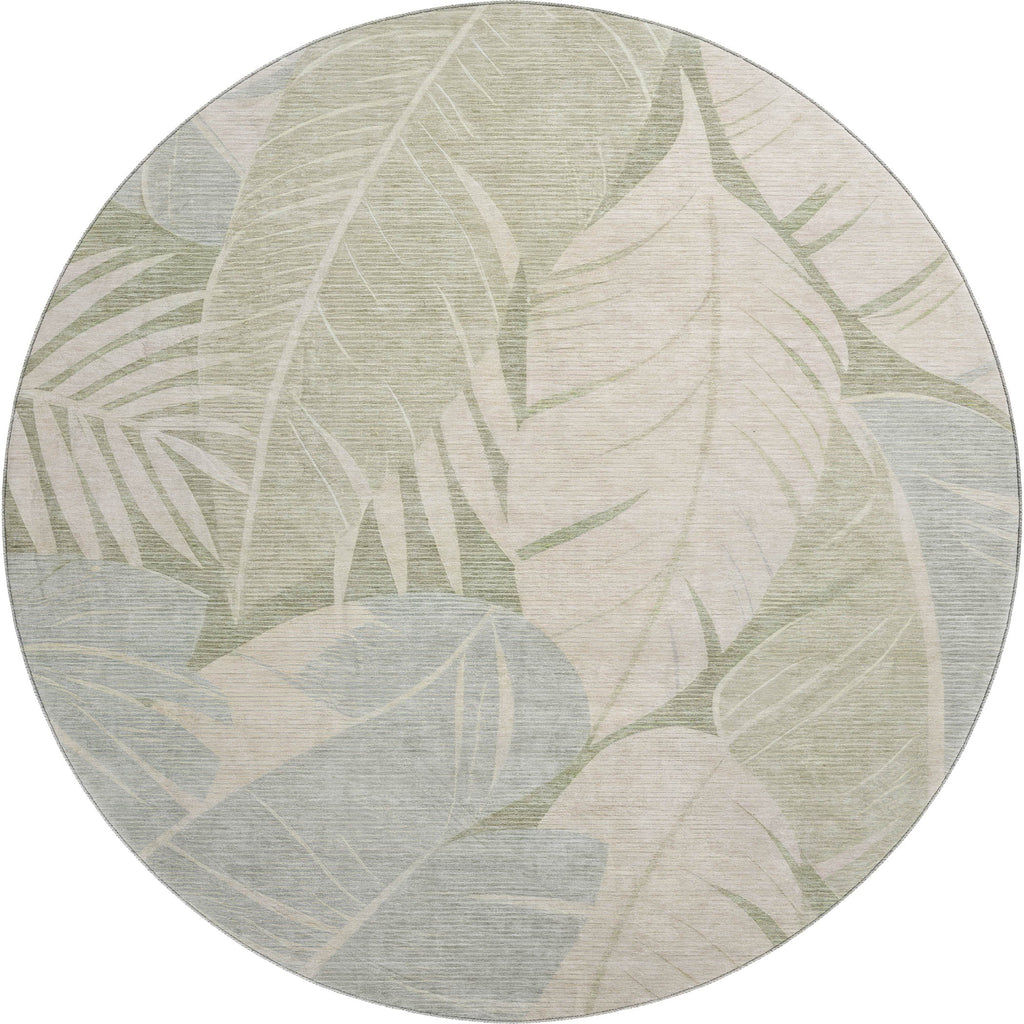 Aloha AH6 Ivory Rug