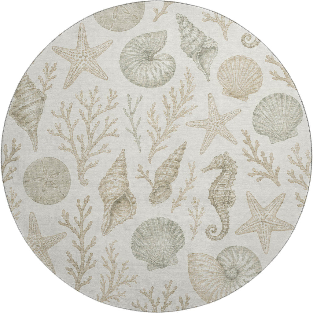 Bluewater BW3 Ivory Rug