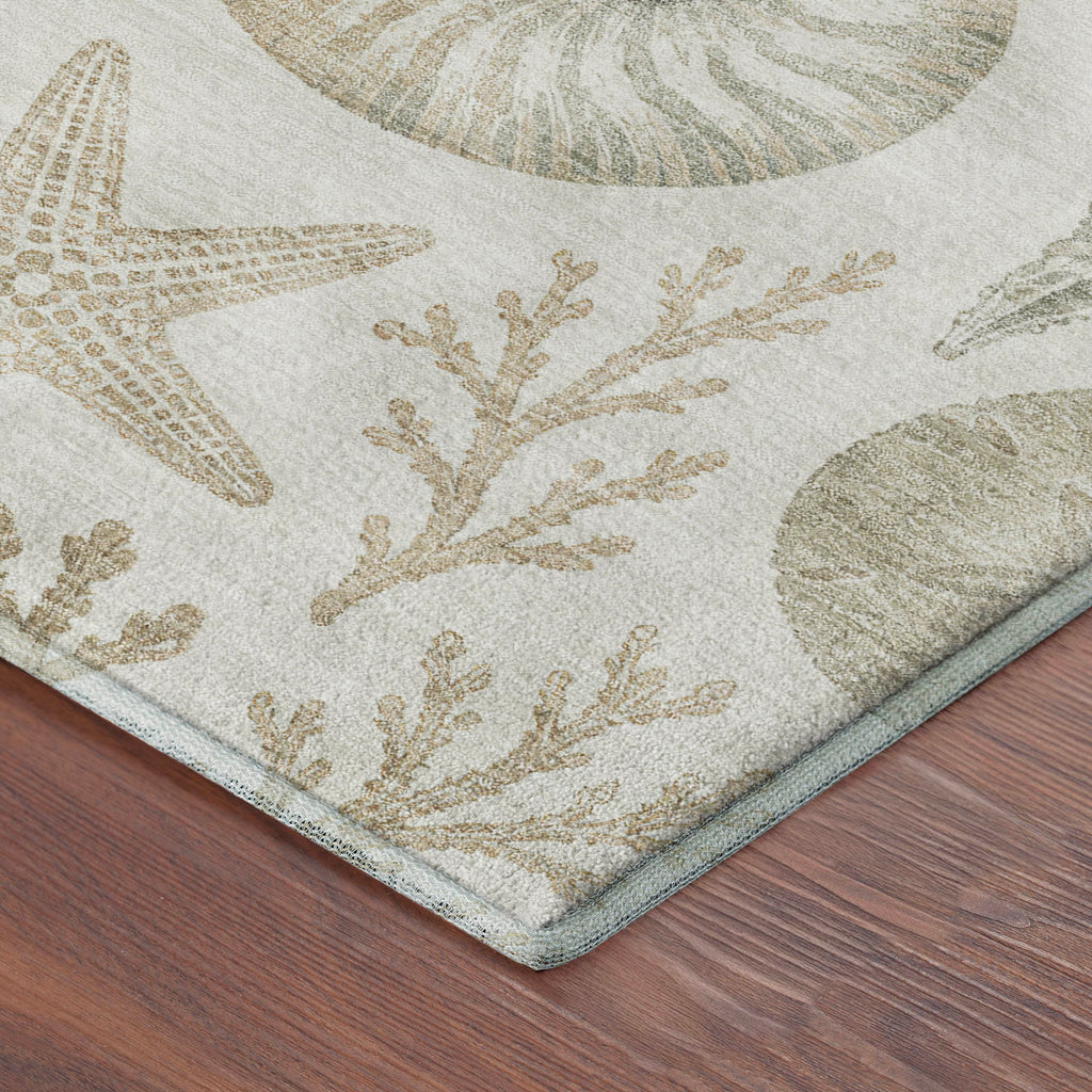 Bluewater BW3 Ivory Rug