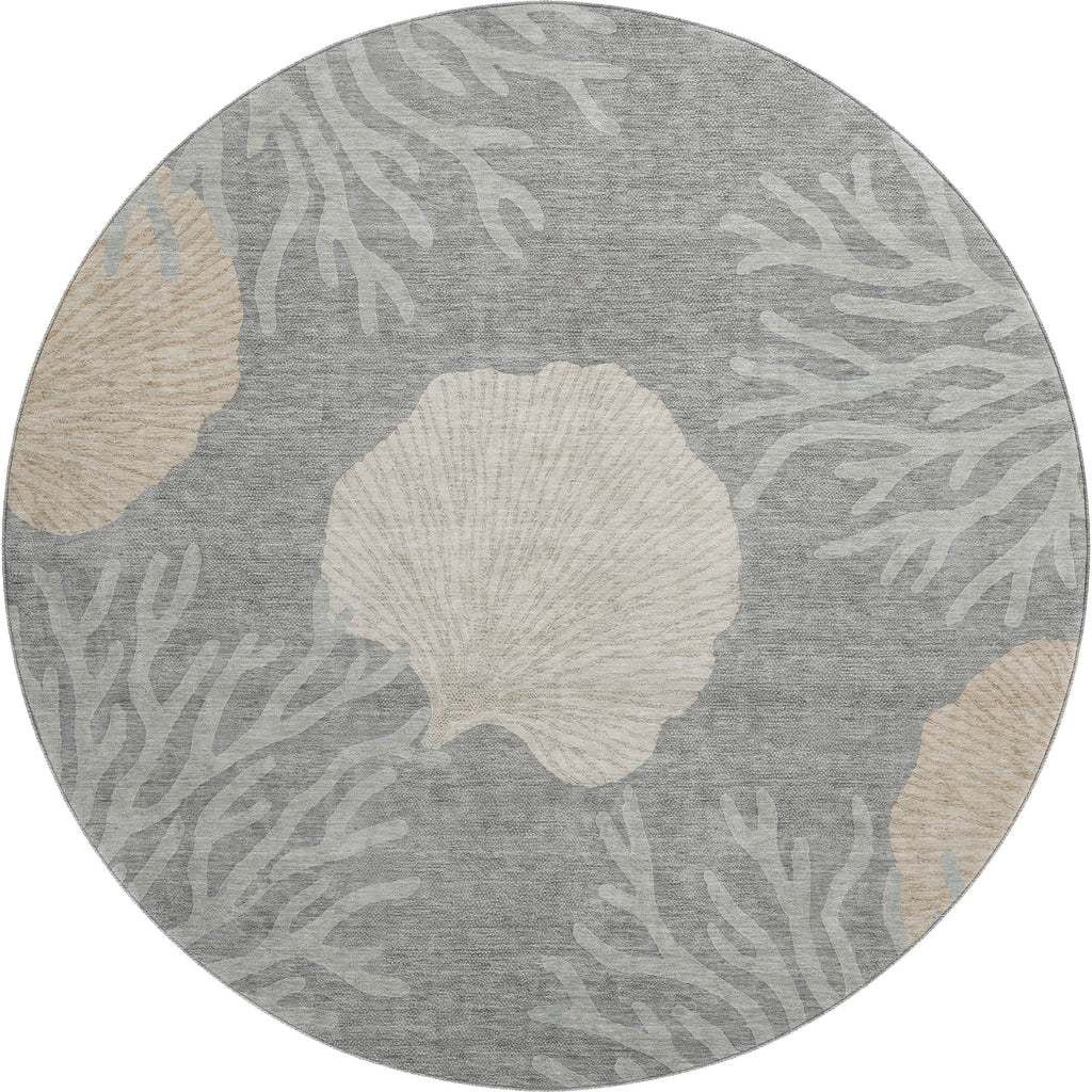 Bluewater BW4 Gray Rug