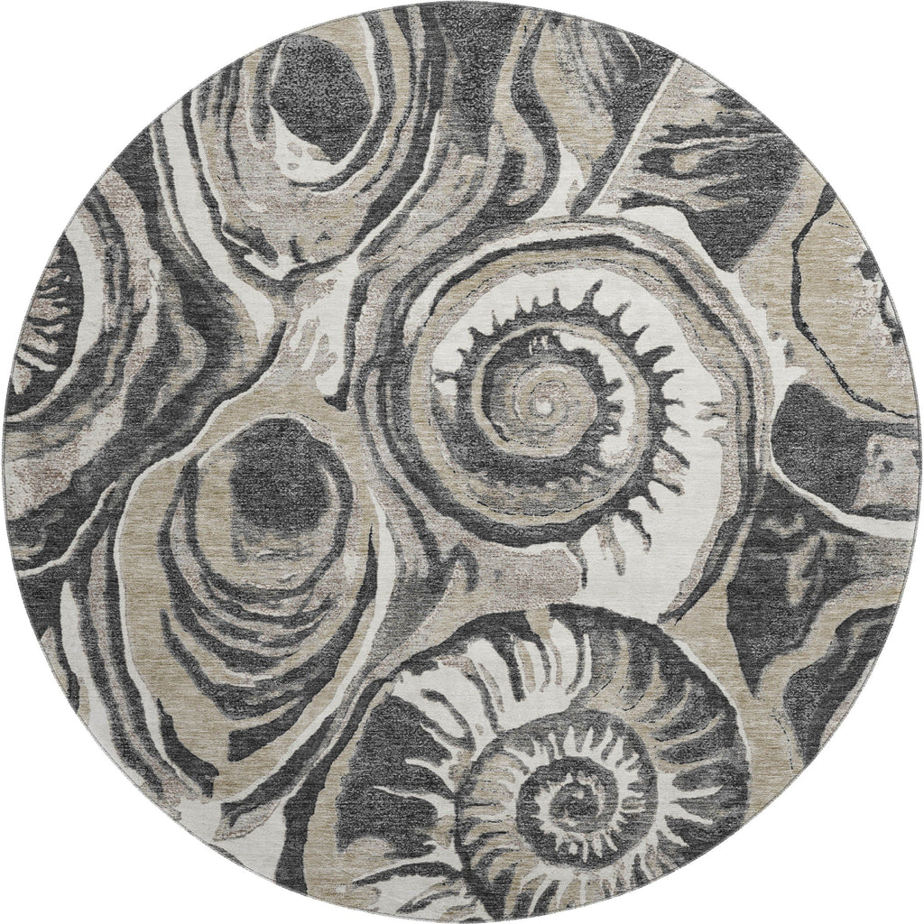 Bluewater BW9 Black Rug